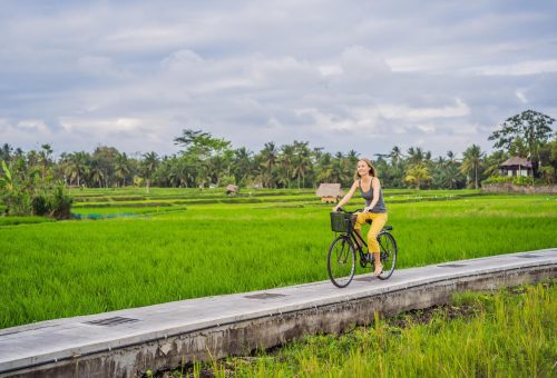 A young woman rides a bicycle on a rice field in Ubud, Bali. Bali Travel Concept.
